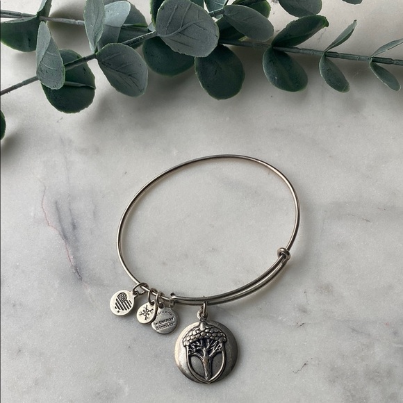 Alex and Ani unexpected miracles bracelet 2016 - Picture 1 of 3